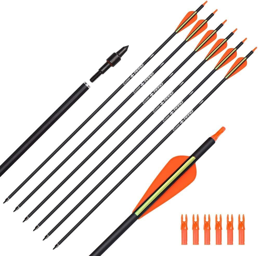 Carbon Arrow Hunting Arrows with 100 Grain Tip and Removable Tips for Archery Compound & Recurve & Traditional Bow Practice Shooting Targeting