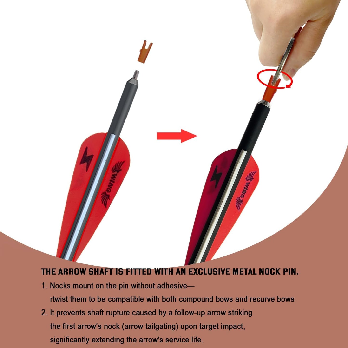 31Inch Carbon Arrow Archery Targeting Practice Hunting Arrows for Compound & Recurve Bow with Removable Tips(Pack of 12)