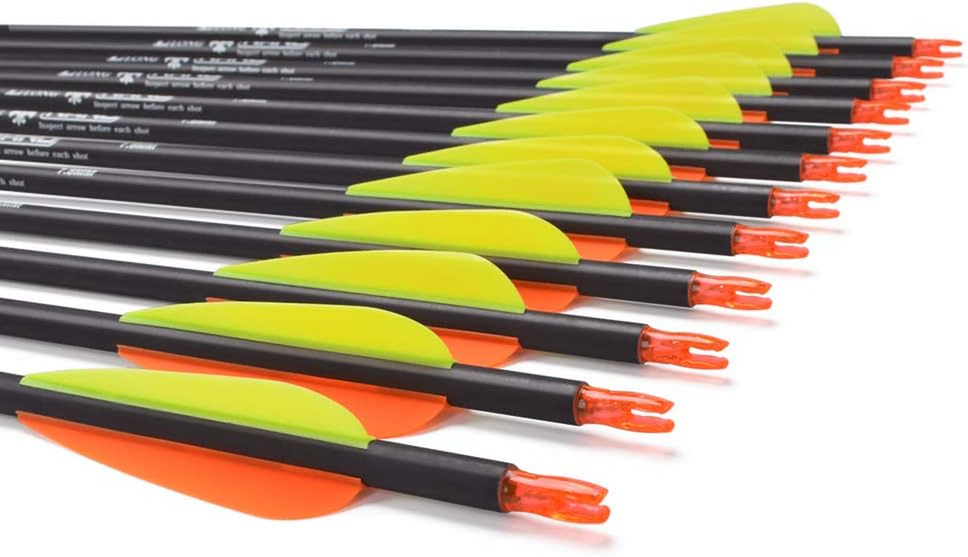 Carbon Arrow Hunting Arrows with 100 Grain Tip and Removable Tips for Archery Compound & Recurve & Traditional Bow Practice Shooting Targeting