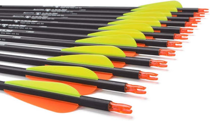 Carbon Arrow Hunting Arrows with 100 Grain Tip and Removable Tips for Archery Compound & Recurve & Traditional Bow Practice Shooting Targeting