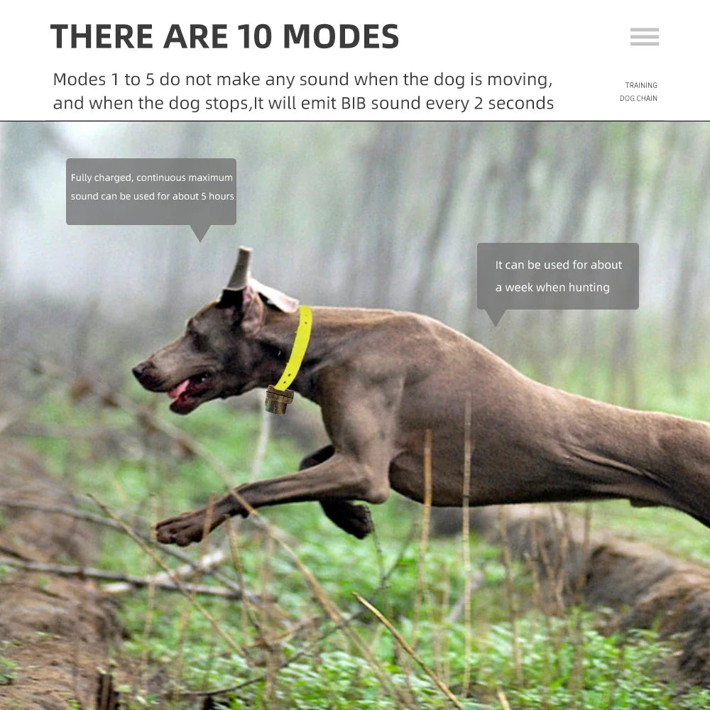 Rechargeable Dog Training Collar Hunting Dog Beeper Collars Beeper Collarelectric Hunting Collars Training and Hunting for Dogs