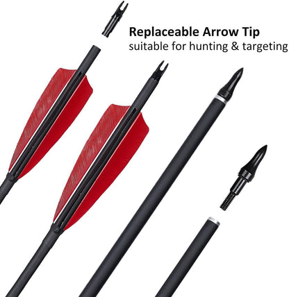 12 Pcs Archery Arrows with Feathers Removable Tips 30Inch Hunting Arrows for Recurve Bow Longbow Compound Bow for Adults Targeting Practice